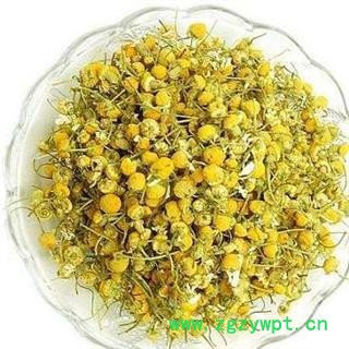 洋甘菊茶精品选货 茶用洋甘菊正品保证质量7天无理由退货退款 中药材批发 丽丽药业图4