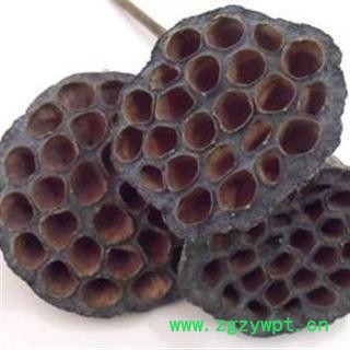 莲房 正品保证质量7天无理由退货退款 安品堂图4