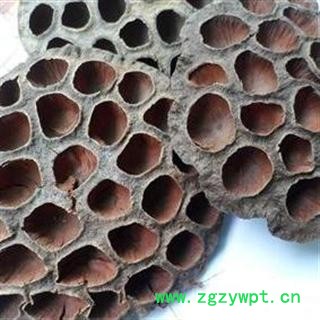 莲房 正品保证质量7天无理由退货退款 安品堂图3