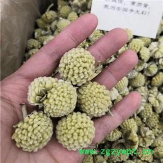 绿萝花 选货正品保证质量7天无理由退货退款 安品堂图3