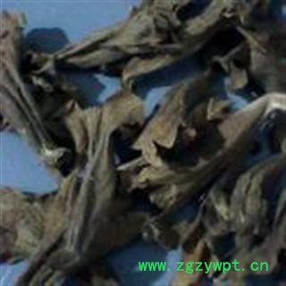 泡桐花 梧桐花 梧桐树花正品保证质量7天无理由退货退款 安品堂图4