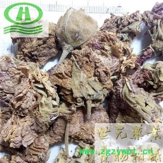 世元药业 芙蓉花 正品 特级天然 药店诊所批发供应各类中药材图2