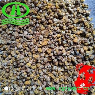 世元药业 野菊花 正品 精品 山菊花 千层菊 黄菊花【全品除尘中药】图2