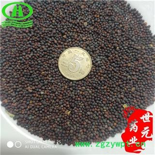 世元药业 芫青子 正品 芜菁子 蔓菁子 出风 无杂图2