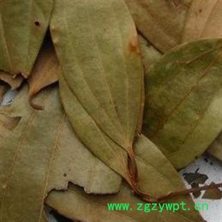 世元药业 杜鹃叶 正品 无污染 天然 优惠 促销图2