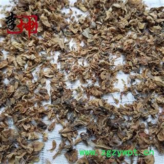 【99包邮】槐花 统货 槐米开的花 产地 山东省 特价销售,售完为止!图3