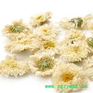 贡菊花 贡菊花 精选无硫菊花 太阳菊 中间黄色 产地 安徽省图2