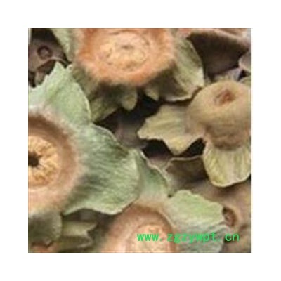 柿蒂 老柿蒂选货 产地 山东省