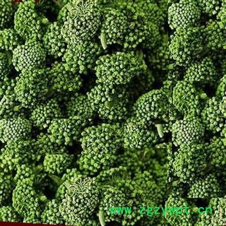 三七花 两年生三七花无柄小选货 产地 云南省 产地直销 重在质量图2