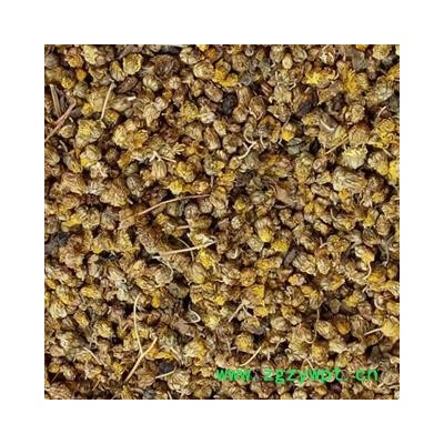 野菊花 野菊花好统货 产地 山东省