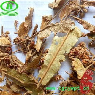 世元药业 菩提叶 新货 正品 菩提树花 菩提花图2