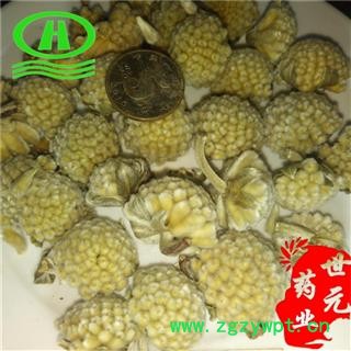 世元药业 绿萝花 正品 优质 结香 黄金葛 藤芋 石柑子 马蹄金 清三高花图2