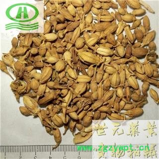 世元药业 佛手花 正品 佛柑花 新货图2