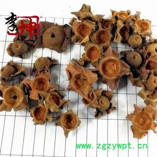 【99包邮】嫩柿蒂 四川产【良心经营 品种齐全】图3