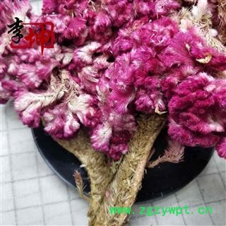 【99包邮】鸡冠花 红花统货 产地 四川省图2