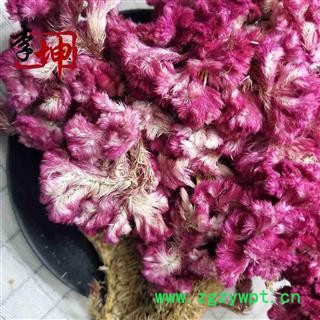 【99包邮】鸡冠花 红花统货 产地 四川省图3