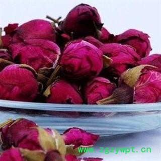 月季花 01 月季花 小号 产地 重庆市县铜梁县图2