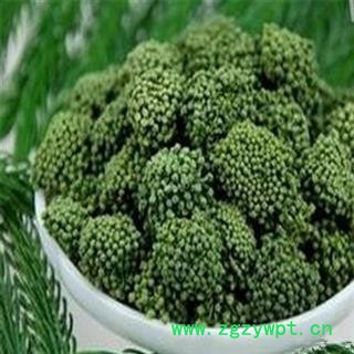 三七花 正品保证质量7天无理由退货退款 安品堂图2