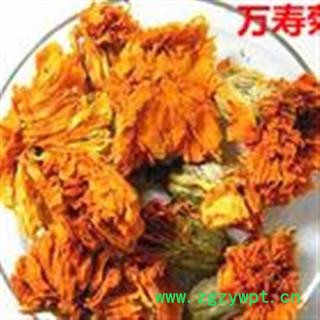 万寿菊 茶用万寿菊 万寿果正品保证质量7天无理由退货退款 中药材批发 丽丽药业图2
