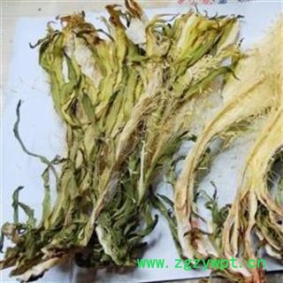 量天尺花 霸王花 七星剑花 统货正品保证质量7天无理由退货退款 安品堂图4