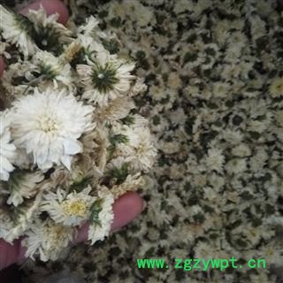 贡菊花 七月菊 优质茶用菊花 新货 颜色好 选 产地 安徽省图2