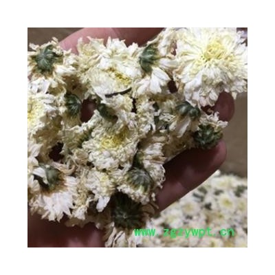 贡菊花 七月菊 优质茶用菊花 新货 颜色好 选 产地 安徽省