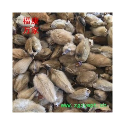 辛夷花 大统货 产地 河南省