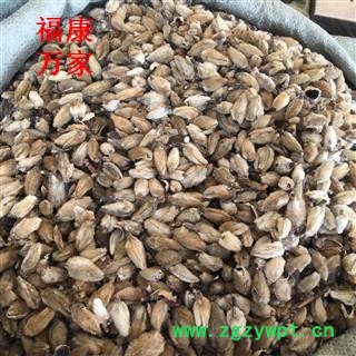 辛夷花 大统货 产地 河南省图2