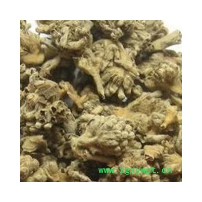 密蒙花 选货 质量好价格低产地 四川省