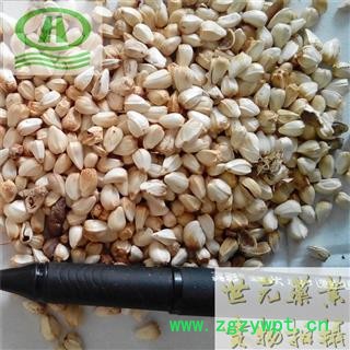 世元药业 红花子 草红花子 草红花种子 红蓝子 白平子 【全品除尘中药】图2