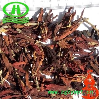 世元药业 白玉兰 白玉花 玉兰花 正品 红玉兰 木兰 玉兰花 望春 应春花 玉堂春图2