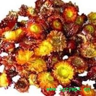 世元药业 七彩菊 七彩菊花 正品 新货图3