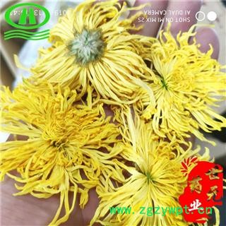 世元药业 金丝皇菊 金丝黄菊 产地直销 一朵一袋 品质好图2