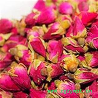 世元药业 平阴玫瑰 新货 清香 批发各类花草茶图2