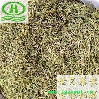 世元药业 绿山银花 湖南烘干绿色长丝 别称 杀青花 一级花 双花 二花 金银花 四季花【全品除尘中药】图2