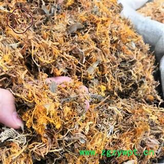 金银花 川银花  统货  无硫 干净 产地 四川省【品种齐全 诚信经营】图2