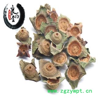 【满298元包邮】柿蒂 嫩柿蒂统货 产地 四川省  1公斤1袋图3