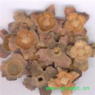 老柿蒂 正品老柿蒂 质量保证15天无理由退货退款图3