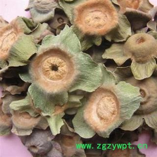 柿蒂 新货 颜色好看 柿蒂批发 产地直供 一手货源 无理由退货退款图2