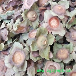 柿蒂 新货 颜色好看 柿蒂批发 产地直供 一手货源 无理由退货退款图4