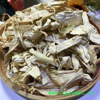 玉簪花 白玉簪花 正品保证质量7天无理由退货退款 安品堂图4