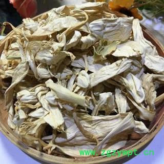 玉簪花 白玉簪花 正品保证质量7天无理由退货退款 安品堂图3