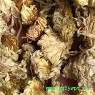 药用菊花 正品保证质量7天无理由退货退款 安品堂图2