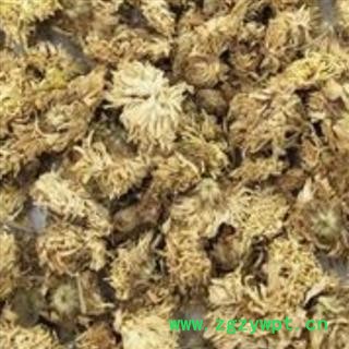 药用菊花 正品保证质量7天无理由退货退款 安品堂图3