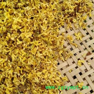 桂花 桂花茶正品保证质量7天无理由退货退款 中药材批发 丽丽药业图3