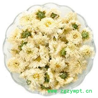 菊花 亳菊花 净500克 正品保证质量7天无理由退货退款 中药材批发 丽丽药业图4