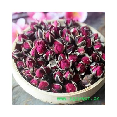 玫瑰花 金边玫瑰 选 产地 云南省 产地直销 重在质量