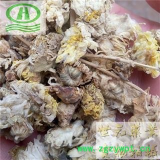 世元药业 菊花 正品 别称-寿客 金英 黄华 秋菊 隐逸花 白菊花图2