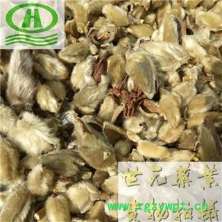 世元药业 辛夷花 正品 别称-林兰 桂兰 杜兰 木莲 木笔 黄心 紫玉兰 女郎花图2