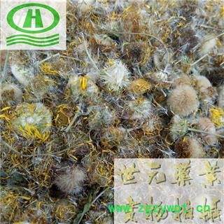 世元药业 旋复花 正品 别称-旋覆花 驴儿草 百叶草 金钱花 猫耳朵花图2